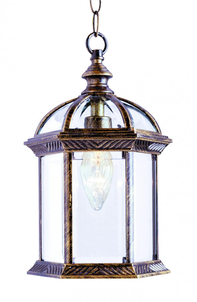 Wentworth 1 Light Atrium Style Outdoor Hanging Pendant